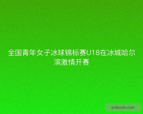 全国青年女子冰球锦标赛U18在冰城哈尔滨激情开赛