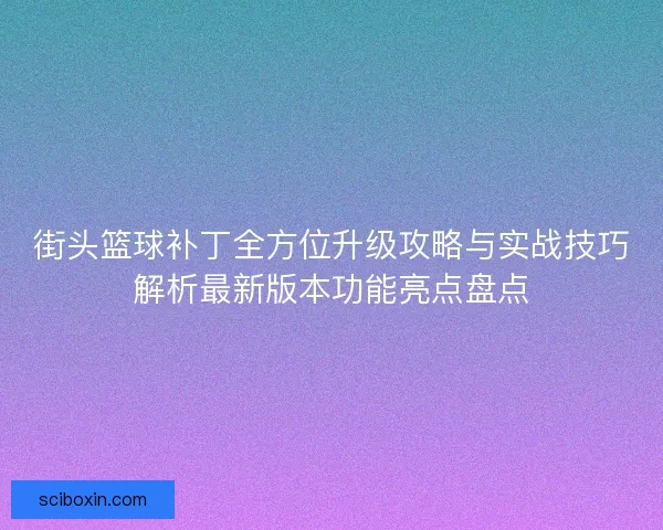 街头篮球补丁全方位升级攻略与实战技巧解析最新版本功能亮点盘点