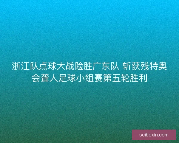 浙江队点球大战险胜广东队 斩获残特奥会聋人足球小组赛第五轮胜利
