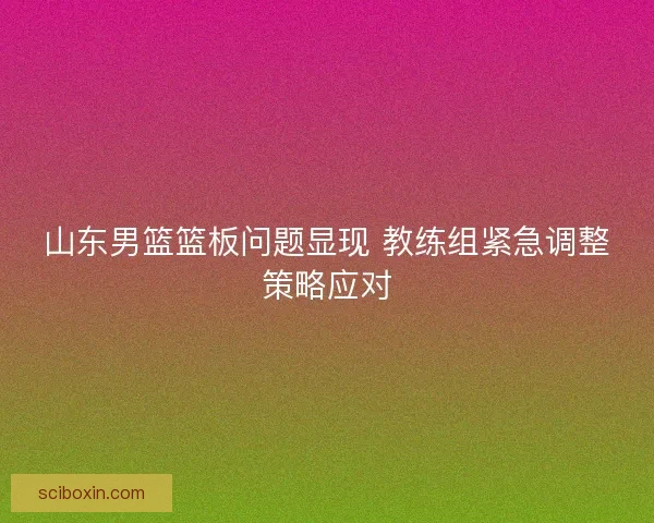 山东男篮篮板问题显现 教练组紧急调整策略应对
